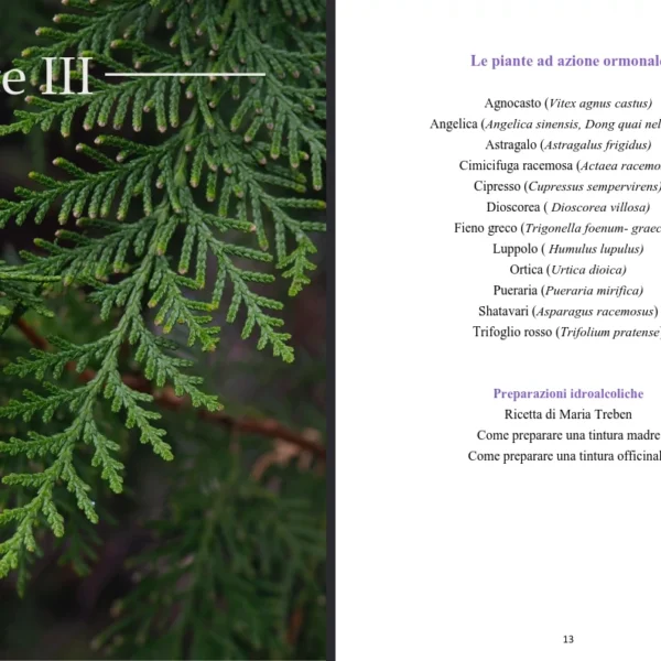 ebook-preview_3 Ebook - Piante e Oli