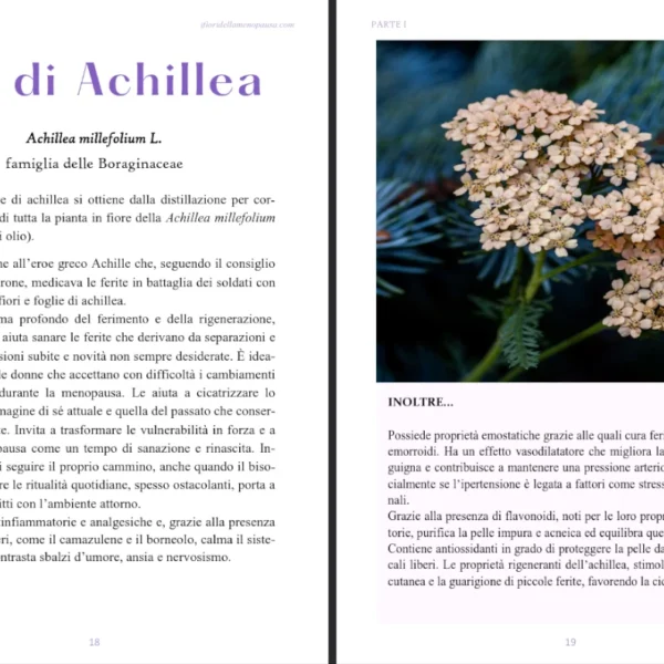 Ebook - Piante e Oli